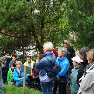 Pfarrwallfahrt 2017