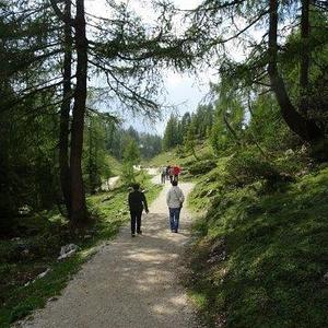 Pfarrwallfahrt 2018