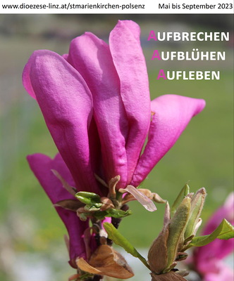 Pfarrbrief170