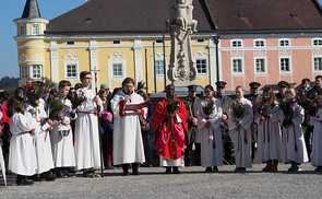 Pfarre Freistadt: Palmsegnung am Hauptplatz