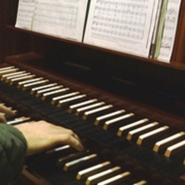 Organistin