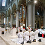 Vier Männer von Bischof Scheuer im Mariendom Linz  zu Priestern geweiht