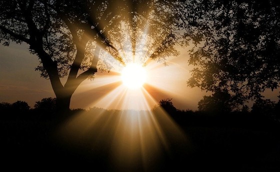 Dann geht im Dunkel / CC0/Pixabay Mayrs_fotos Licht und Dunkel