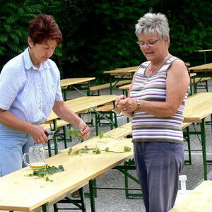 Begegnungsfest 2008
