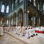 Vier Männer von Bischof Scheuer im Mariendom Linz  zu Priestern geweiht