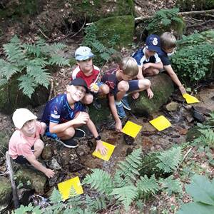 Wasser ist Leben - Ferienprogramm Sarleinsbach
