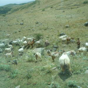 Armenien 