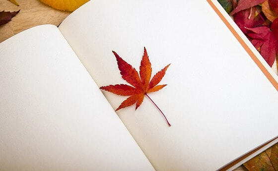 Buch mit Ahornblatt