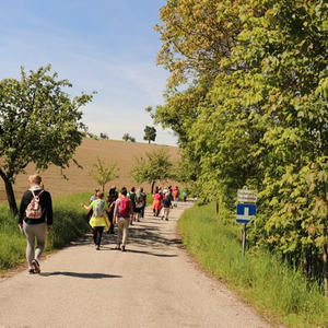 Frauenpilgertag
