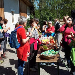 Frauenpilgertag