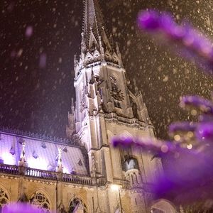 Advent am Dom 2022