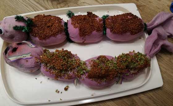 Kresseraupe