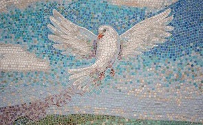 Friedenstaube