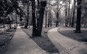 Zwei Wege