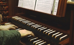 Organistin