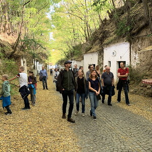 Poysdorf