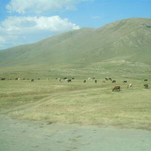 Armenien 