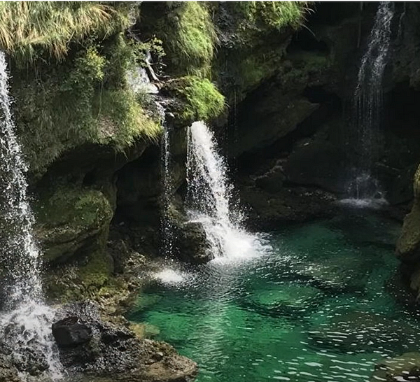 Lebendiges Wasser