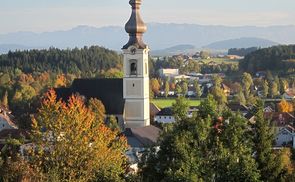 Pfarrkirche Vöcklamarkt                         