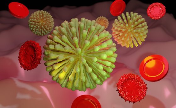Corona-Virus