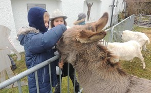 Krippe in der Pfarre Alkoven