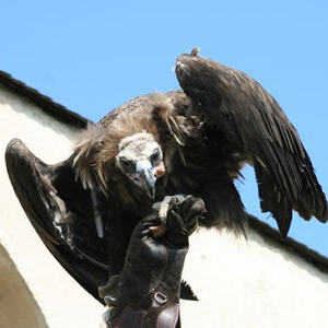 Chorausflug