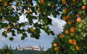Stift Göttweig.