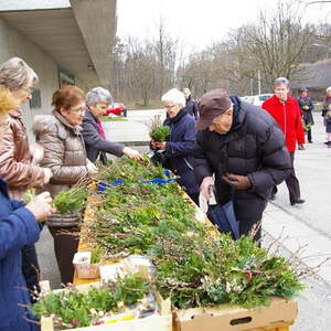 Palmsonntag