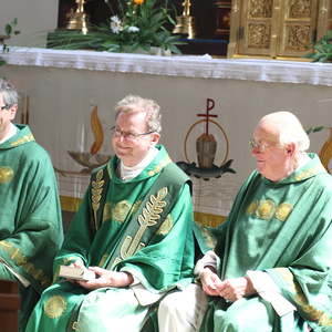 Priesterjubiläen 2015