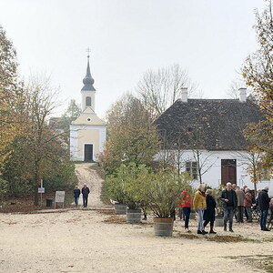 Poysdorf