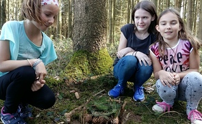 Pfarre Sierning: Jungscharstunde im Wald
